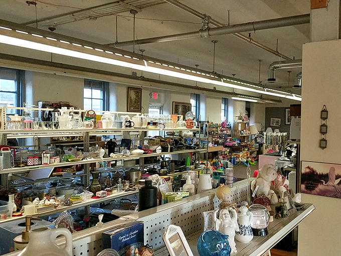 A thrift store shelf of books and kitchenware